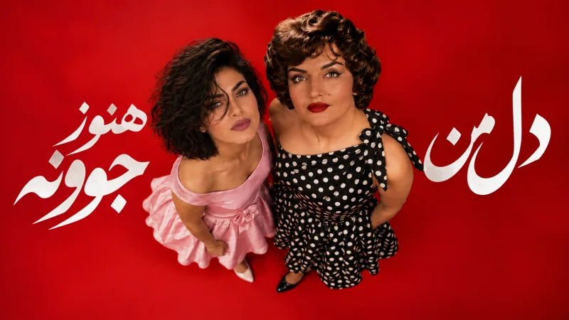 تصویر کاور دل من هنوز جوونه از نلی